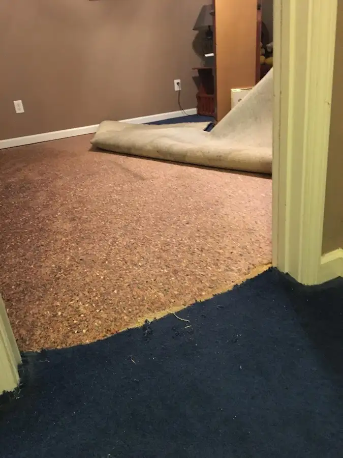 Carpet pad removal revealing water damage during Water Mitigation Services in Johnson City
