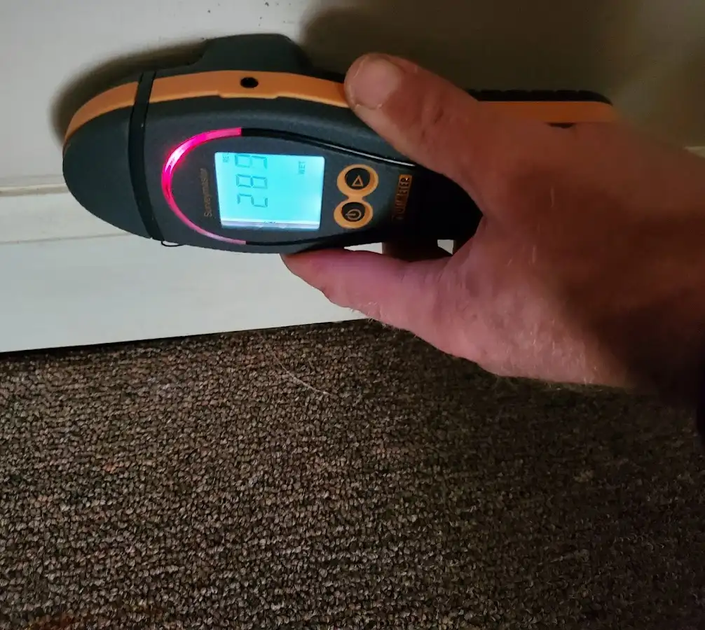 Moisture detection at baseboard during Mold Inspection & Testing in Johnson City